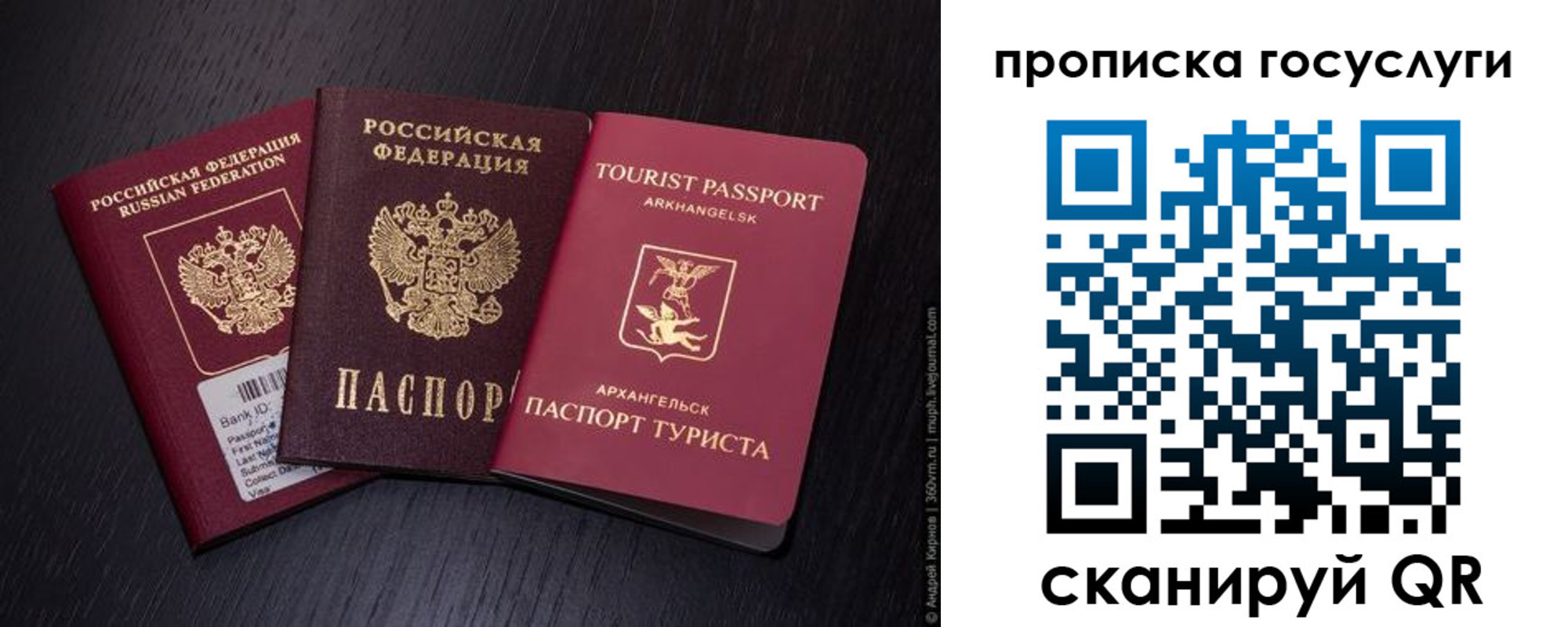 прописка 2025 в Кохме